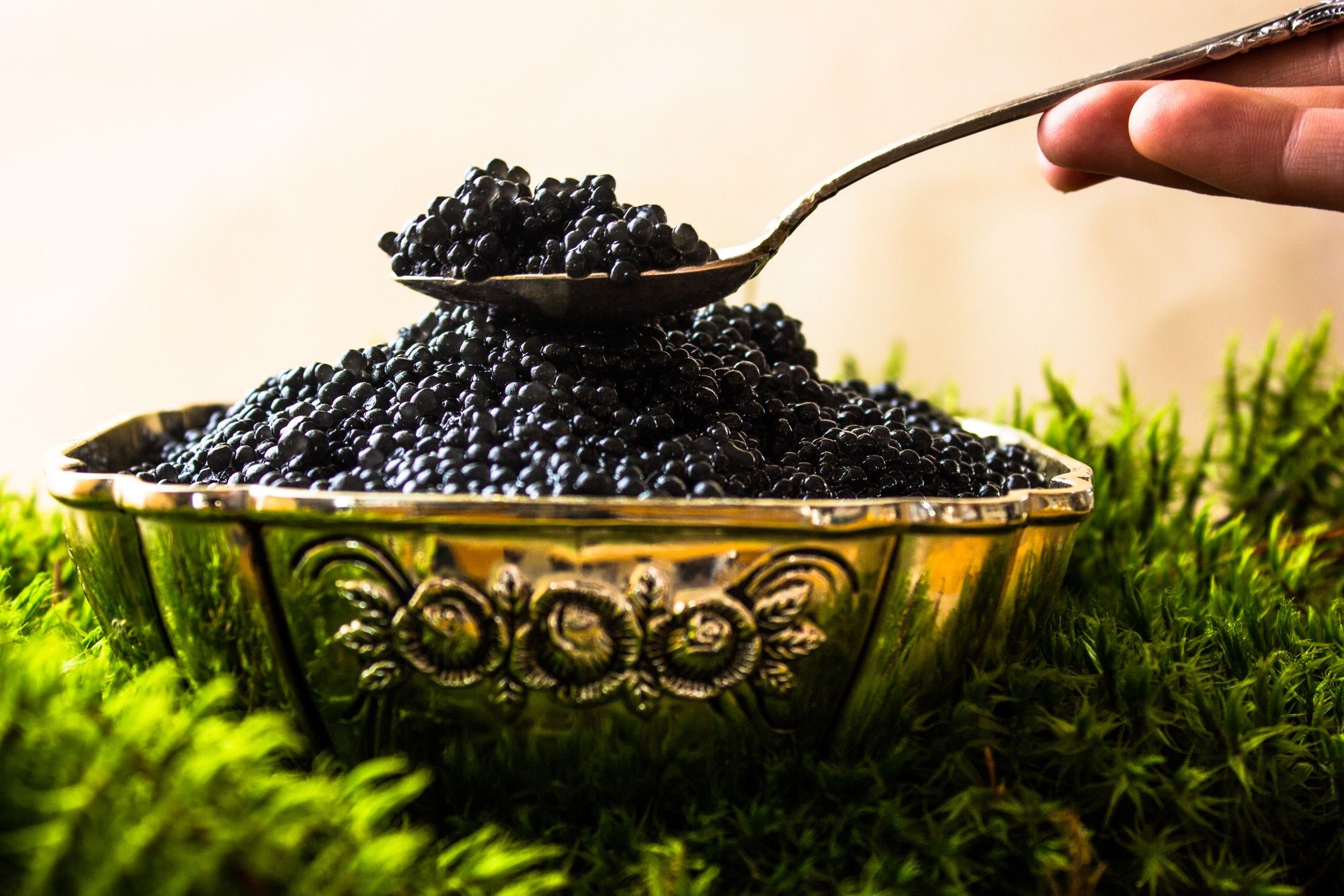 black caviar in a silver bowl on a white background - moss with a silver spoon.